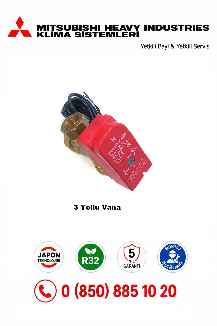 3 YOLLU VANA